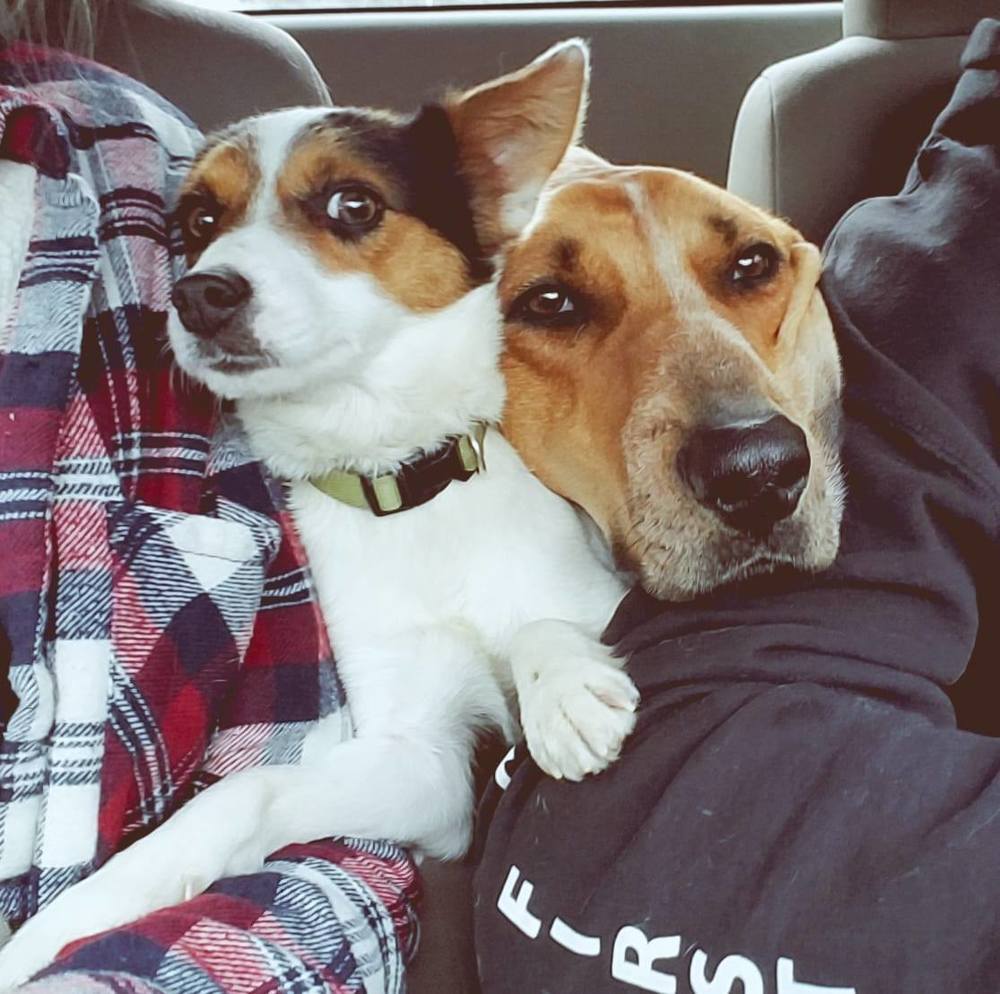 Meet your Posher, Haley